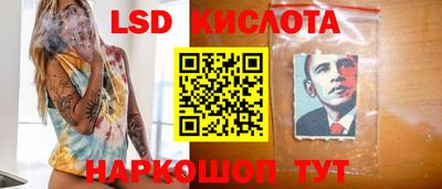 прущие грибы Кингисепп