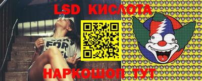 прущие грибы Кингисепп