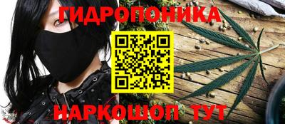 jwh Кимры