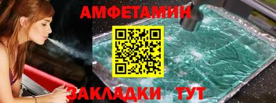 прущие грибы Кингисепп