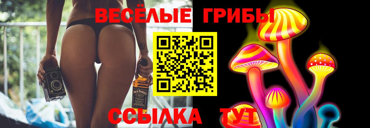 Галлюциногенные грибы Psilocybe Буйнакск