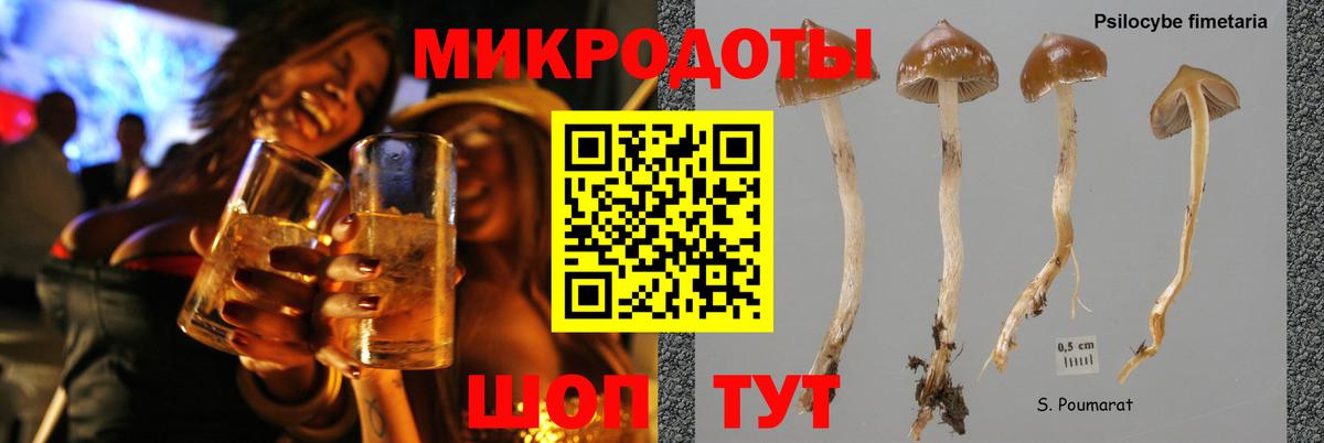 Галлюциногенные грибы ЛСД  Галлюциногенные грибы MAGIC MUSHROOMS  Буйнакск  цены   Вход с VPN 
